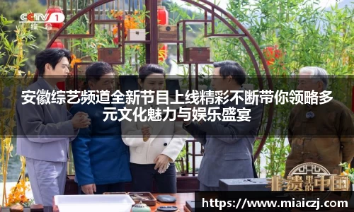 安徽综艺频道全新节目上线精彩不断带你领略多元文化魅力与娱乐盛宴